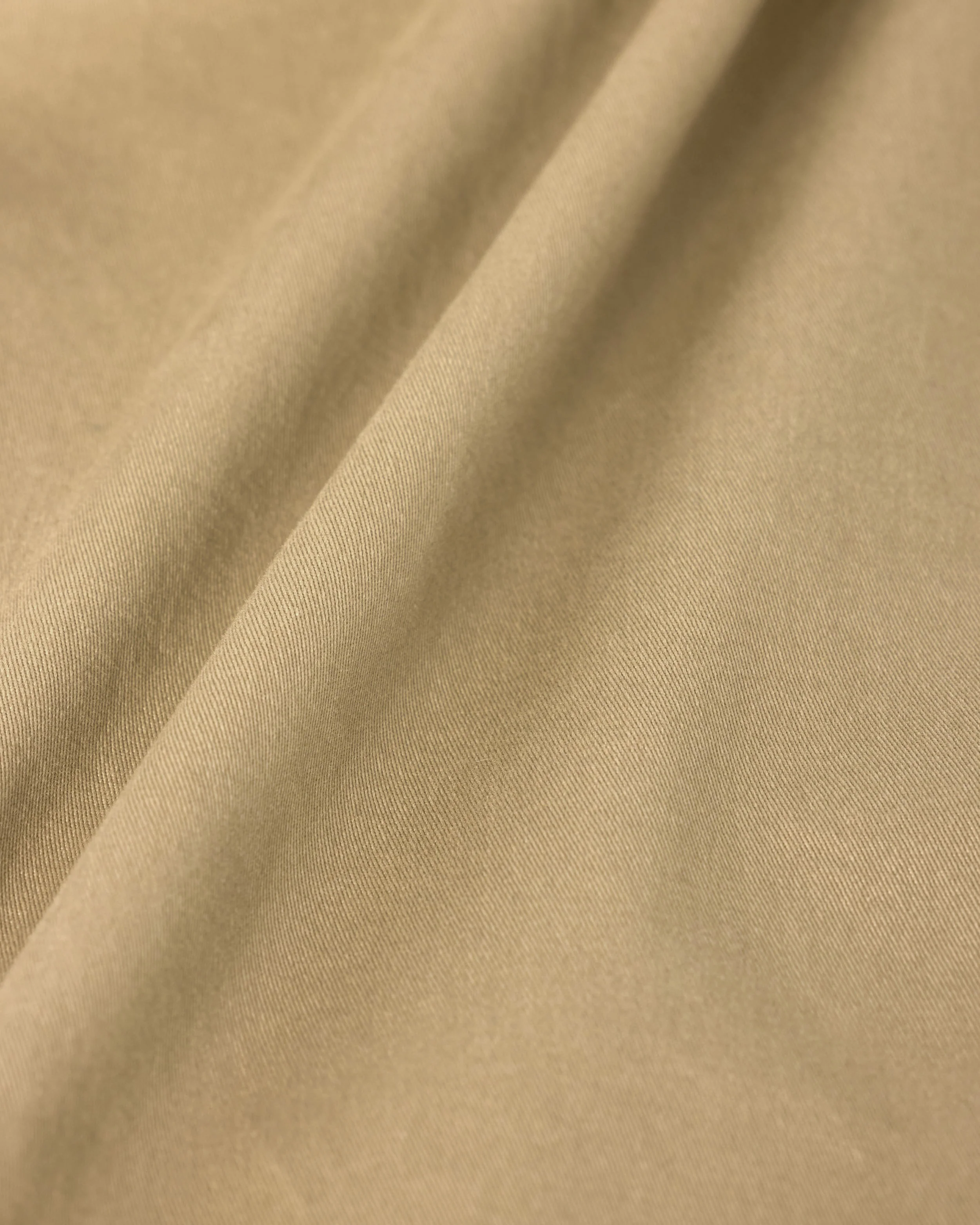 RELAXED PLEATED CHINO PANT - Image 6